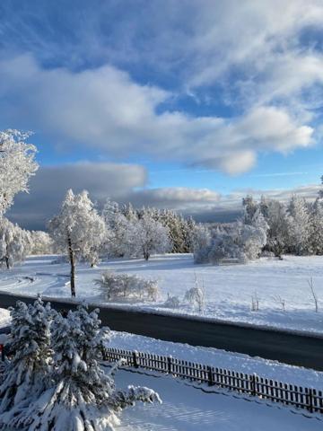 Ferienwohnung Harzblick 4 Braunlage Zewnętrze zdjęcie